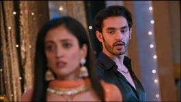 Apollena - 14th February 2025